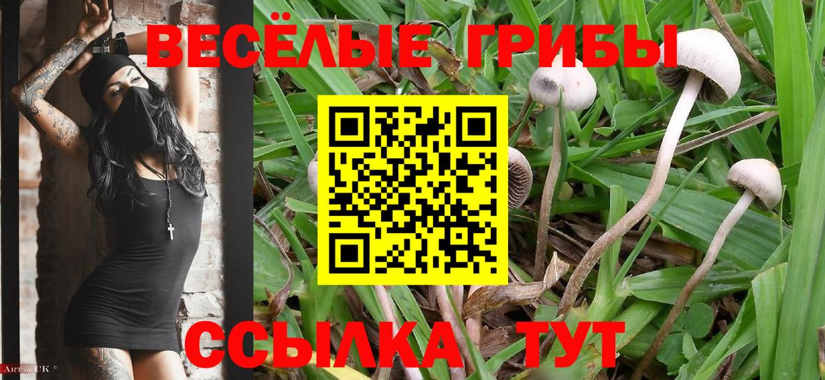 Зима  Псилоцибиновые грибы GOLDEN TEACHER  Псилоцибиновые грибы MAGIC MUSHROOMS  Вход с VPN 